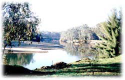 Corowa Golf Club Motel - Accommodation Redcliffe 0