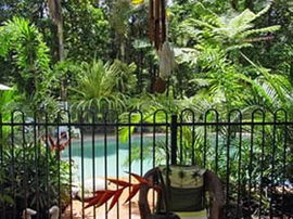 Daintree Rainforest Retreat Motel - Accommodation Redcliffe 0