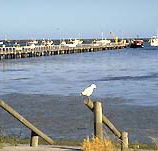 Seaview Motel and Holiday Units - Accommodation Redcliffe