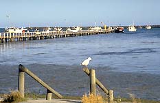 Seaview Motel And Holiday Units - Accommodation Redcliffe 0