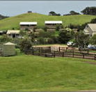Ace Hi Riding Ranch - Accommodation Redcliffe