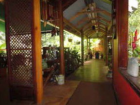Daintree Rainforest Retreat Motel - Accommodation Redcliffe 2