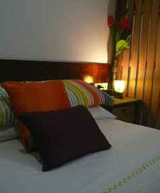 Daintree Rainforest Retreat Motel - Accommodation Redcliffe 3