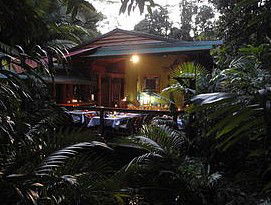Daintree Rainforest Retreat Motel - Accommodation Redcliffe 4