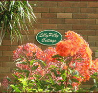 Lillypilly - Accommodation Redcliffe