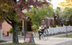 Beechworth Carriage Motor Inn - thumb 0
