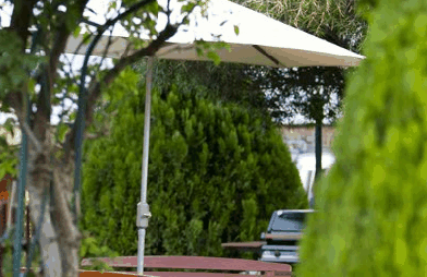 Beechworth Carriage Motor Inn - Accommodation Redcliffe 3