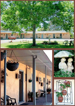 Arch Motel - Accommodation Redcliffe 2