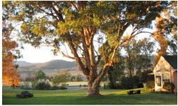 Belltrees Country House - Accommodation Redcliffe 2