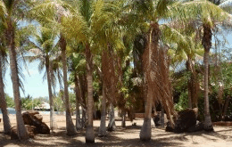 King Sound Resort Hotel - Accommodation Redcliffe