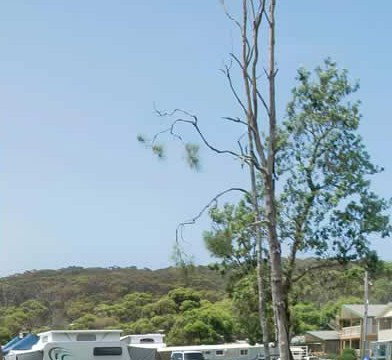 Merry Beach Caravan Park - Accommodation Redcliffe 2