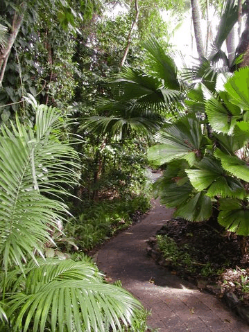 Rainforest Grove Holiday Resort - Accommodation Redcliffe 1
