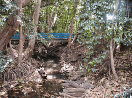 Rainforest Grove Holiday Resort - Accommodation Redcliffe 3