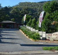 Bright Colonial Inn Motel - Accommodation Redcliffe