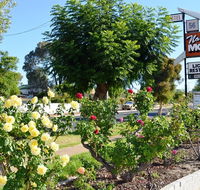 Narrogin Motel - Accommodation Redcliffe