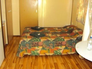 Mataranka Homestead Motel - Accommodation Redcliffe 4