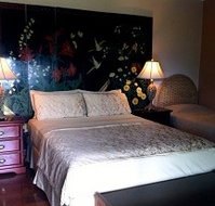 Daintree Manor - Accommodation Redcliffe