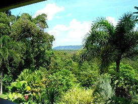 Daintree Manor - Accommodation Redcliffe 3