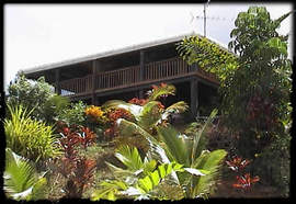 Daintree Manor - Accommodation Redcliffe 5