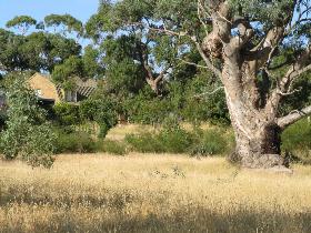 Springton SA Accommodation Redcliffe