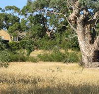 Wings Barossa Bird and Bush Retreat - Accommodation Redcliffe