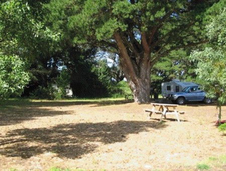 Millicent Hillview Caravan Park - Accommodation Redcliffe 1