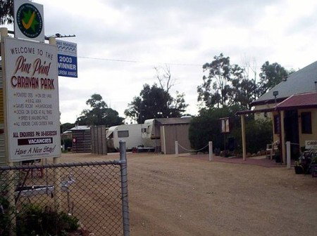 Pine Point Caravan Park - Accommodation Redcliffe 2