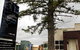 McLaren Vale Studio Apartments - thumb 1