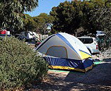 Marion Bay Caravan Park - Accommodation Redcliffe 6