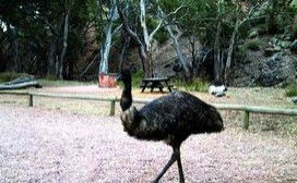 Mambray Creek Cabin - Accommodation Redcliffe 1