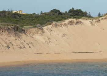 Ark Bed And Breakfast - Accommodation Redcliffe 1