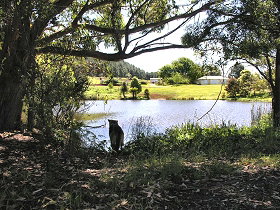 Lapoinya TAS Accommodation Redcliffe