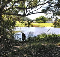 Newry Park Cottage - Accommodation Redcliffe