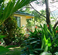 Daintree Valley Haven - Accommodation Redcliffe