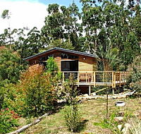 Southern Forest Accommodation - Accommodation Redcliffe