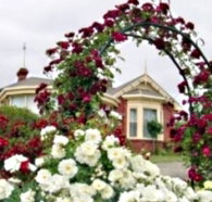 Golden Embers Apartments and B and B - Accommodation Redcliffe