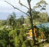 Partridge Farm - Accommodation Redcliffe