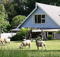 Hide-Away Cottage Retreat - Accommodation Redcliffe