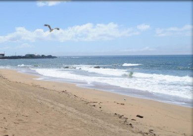 Comfort Hotel Burnie - Accommodation Redcliffe 3