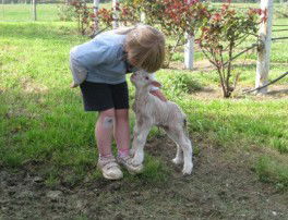 Taras Richmond Farmstay - Accommodation Redcliffe 3