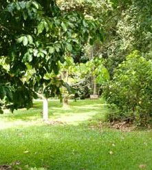 Julatten QLD Accommodation Redcliffe