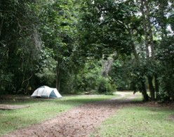 Kingfisher Park Birdwatchers Lodge - Accommodation Redcliffe 5
