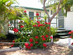 Gee Dees Family Cabins - Accommodation Redcliffe 2