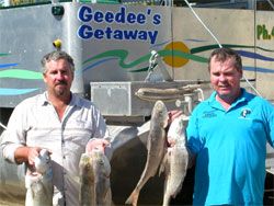 Gee Dees Family Cabins - Accommodation Redcliffe 4