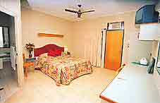 Curtain Fig Motel - Accommodation Redcliffe 2