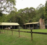 Tree Fern Lodge - Accommodation Redcliffe