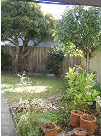 Rose Cottage Bed & Breakfast - Accommodation Redcliffe 1