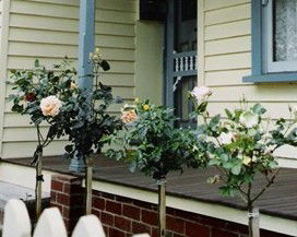 Rose Cottage Bed & Breakfast - Accommodation Redcliffe 3
