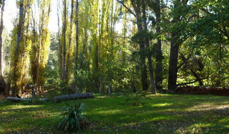 Old England Accommodation - Accommodation Redcliffe 2