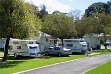 Pleasurelea Tourist Resort And Caravan Park - Accommodation Redcliffe 1